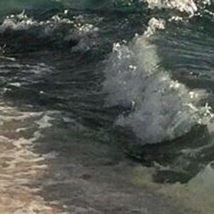 Meet your Posher, Sydney